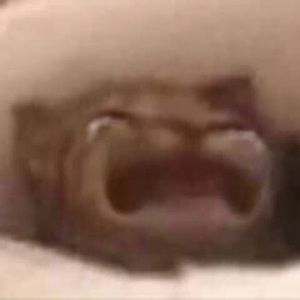 Meet your Posher, Kailyn